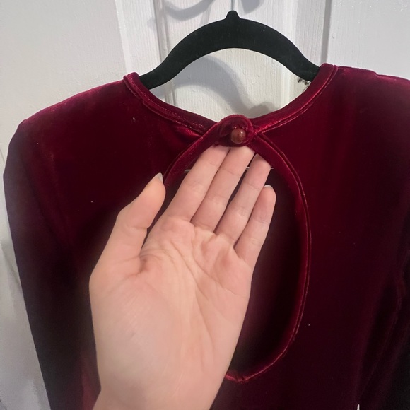 Day & Night Maroon Velvet Jumpsuit from Revolve - Picture 12 of 13